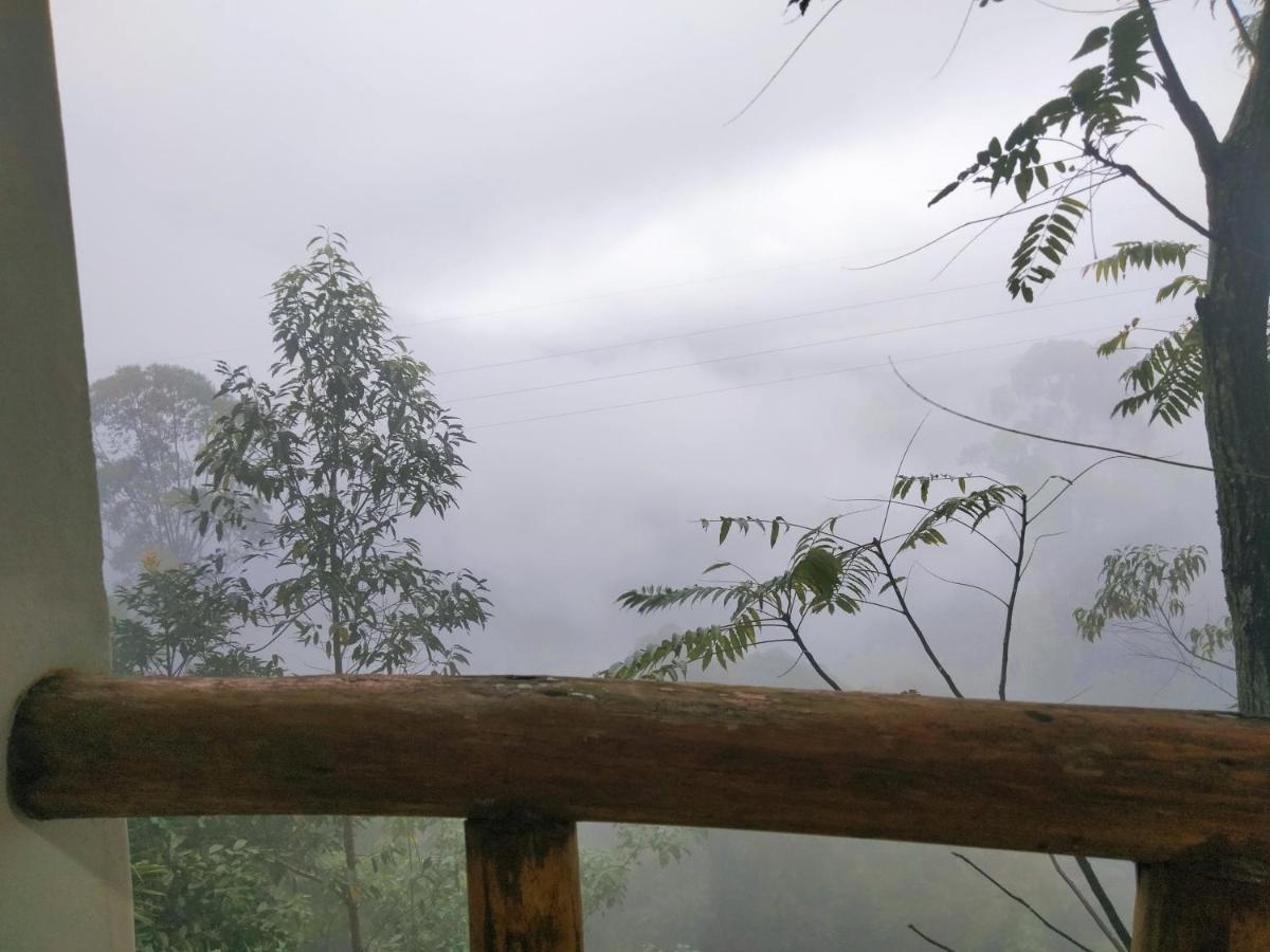 Nature Casa Bella Phòng bức ảnh